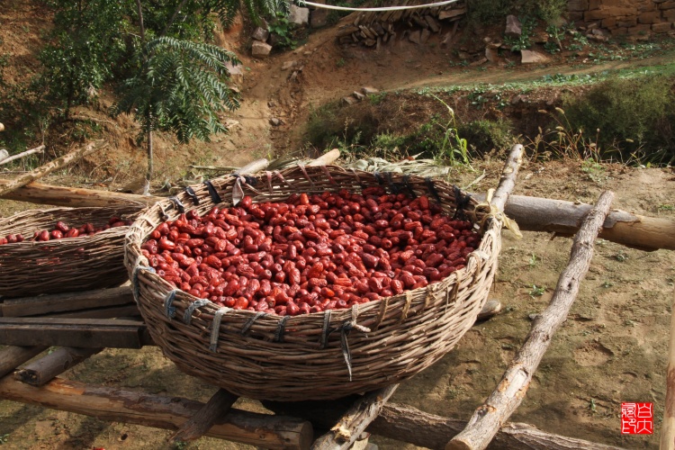 山西临县李家山 - 海阔山遥 - .