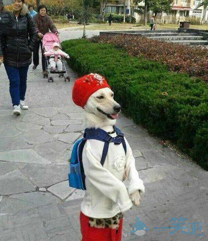 今天上学好开心