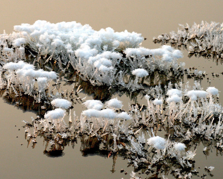 罕见的盐湖硝花【原创