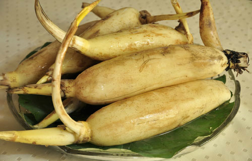 营养又保健的七种“第一”食材 - 瀛子 - 瀛の小笺