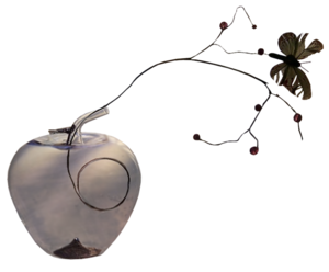 蒙蒙细雨、解读我的柔情 - 鳕鯡鮩鲒 - 鳕鲱鮩鲒的博客