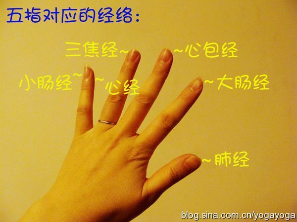 情景剧：动动手指练瑜伽