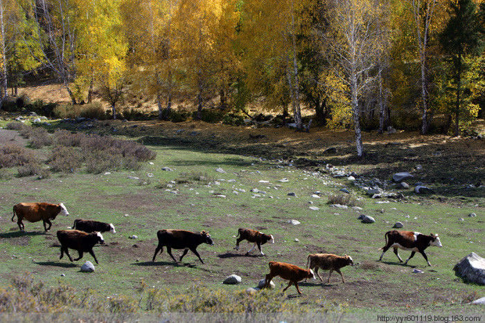 神秘的图瓦人 - 永荣视界 - 永荣视界