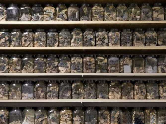 火葬场见闻——啊，人生如梦！活着才是王道啊。。。 - 俊哥儿 - 俊哥儿的博客(热点透视军情解密名人真相）