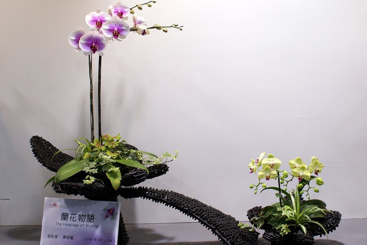 台湾国际兰展欣赏 - 弇山 - 弇山