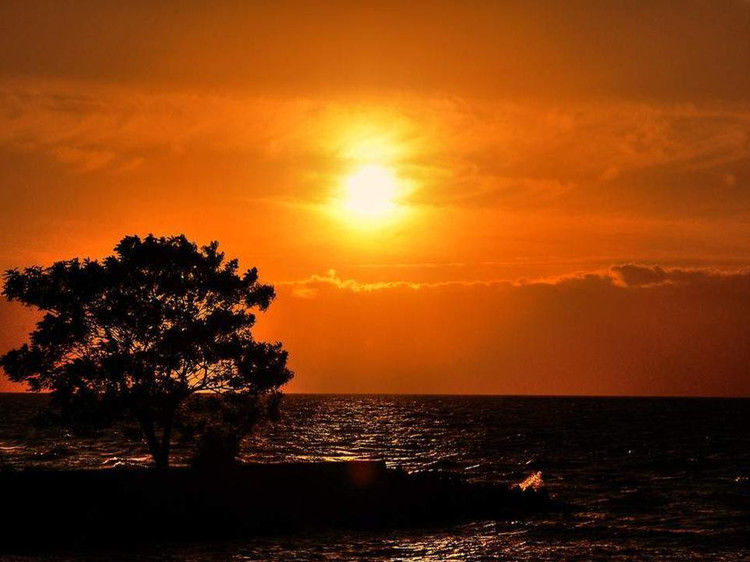 与您同赏——最美不过夕阳红（夕阳照拍得真棒！） - 小荷 - 小荷的博客