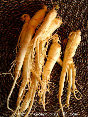 只需三种药材，百分之百治好各种胃病的药方 - ngycmyc - ngycmyc的博客