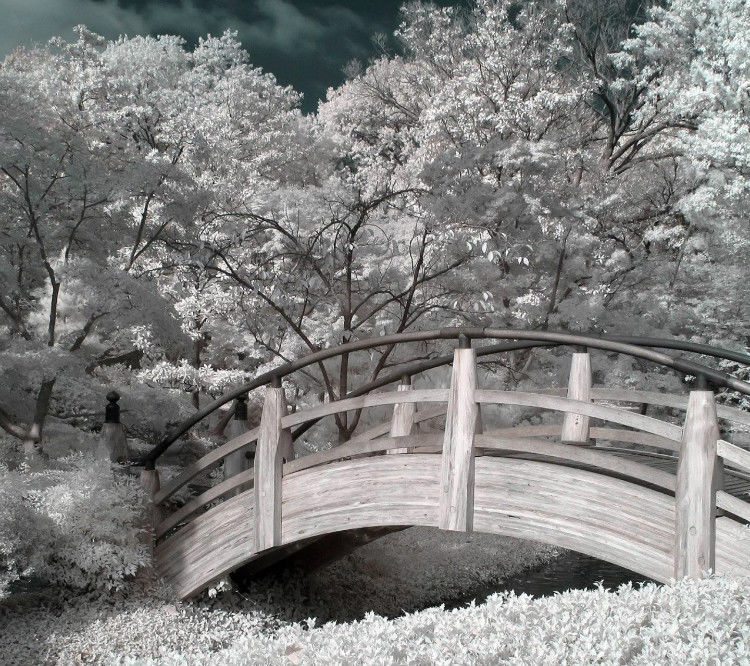 中外桥梁  美景大全 -