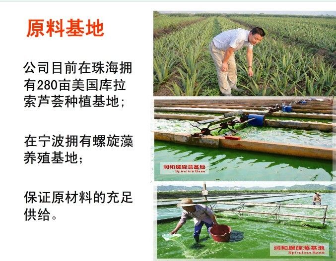 润和云山老师广东润和公司，产品，奖金制度，注册流程全面讲解