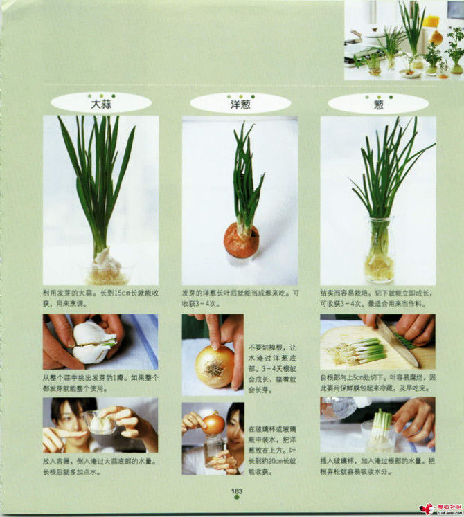 家中小事展现智慧与才艺，天哪，太实用了 - 静水流风 - 蚂蚁闯红灯