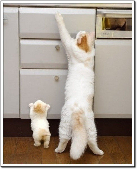 周末要轻松！【幽默图片50P】 - 無為居士 - 聚美齋