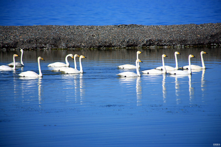 睡眠长短决定寿命 - 嵯峨山人朝鸣 - 嵯峨山人朝鸣的博客