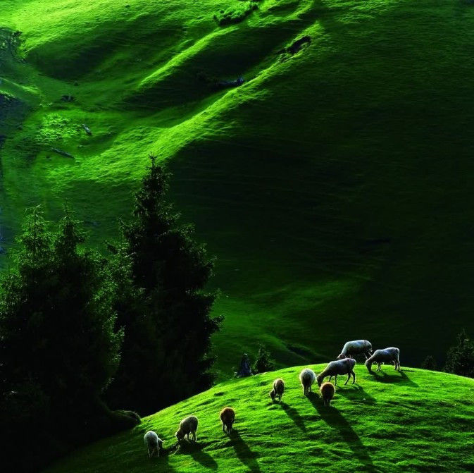 令人心醉的美！不看对不起自己的眼睛！ - 博爱友爱 - 博爱友爱