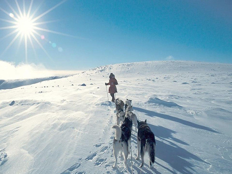 写给七十岁时的自己 - 老教授 - 老教授