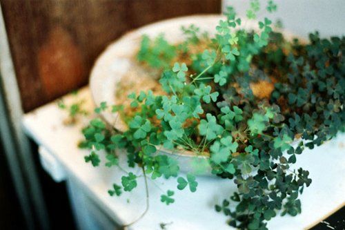 我总是在安静的时候想得很多，然后难受很久