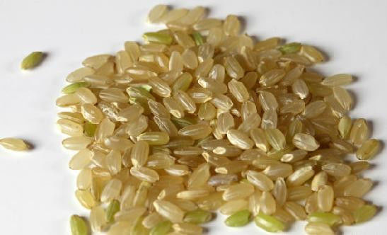 喝糙米茶：三天就能停止癌细胞活动 - 南南 - 阳光南南（看新闻）