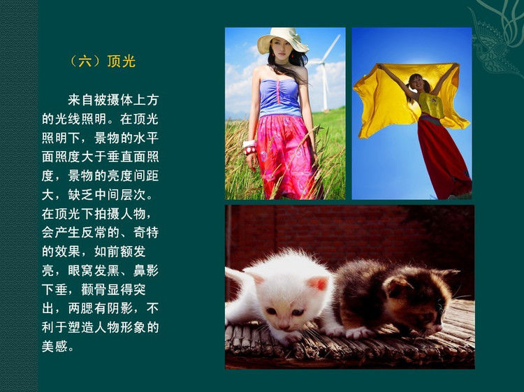 数码摄影入门讲座——摄影用光 - 遨游 - 遨游的博客