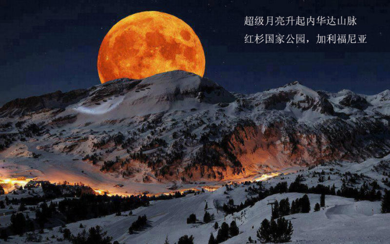 惊奇的世界照片 - 学海无涯 - 读书之法.在循序而渐进.熟读而精思