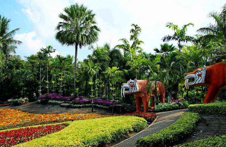 【引用】нуч花园轩弄。泰国 - 枫林傲然 -                  .