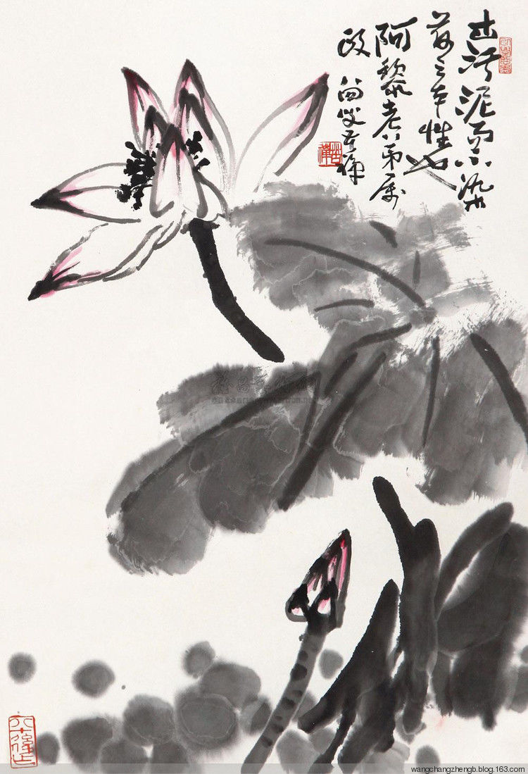 李苦禅 荷花作品欣赏 - wangchangzhengb - wangchangzhengb的博客