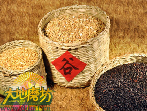 杂粮配方功效　好不容易找齐的（不收藏是你的损失哟） - 寂寞心雨 - 寂寞心雨