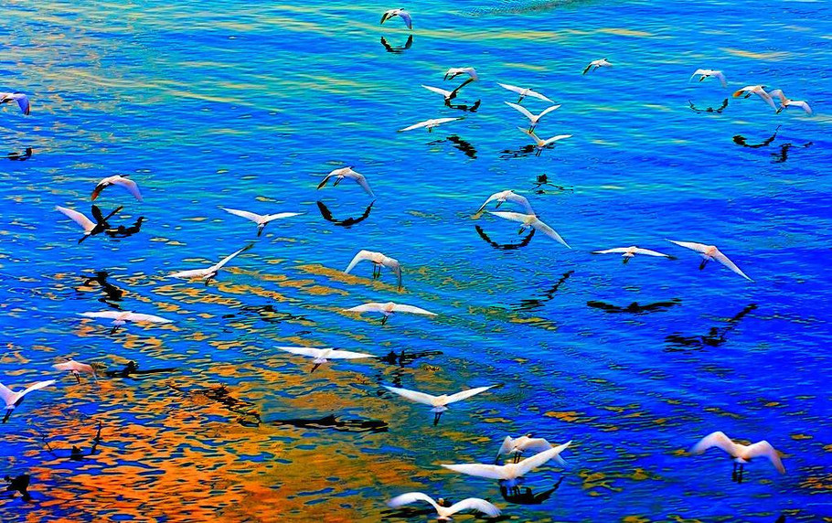 中国最美的100个古村古镇（十） - 空谷幽兰 - 空谷幽兰憩居