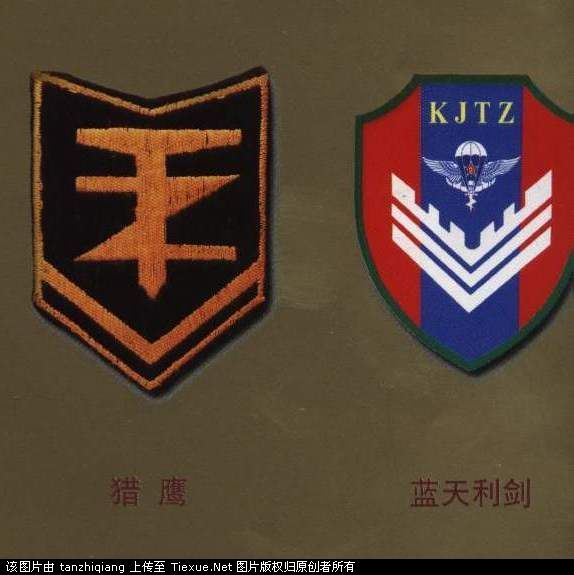 成都军区西南猎鹰特种部队、空降兵的蓝天利剑特种部队