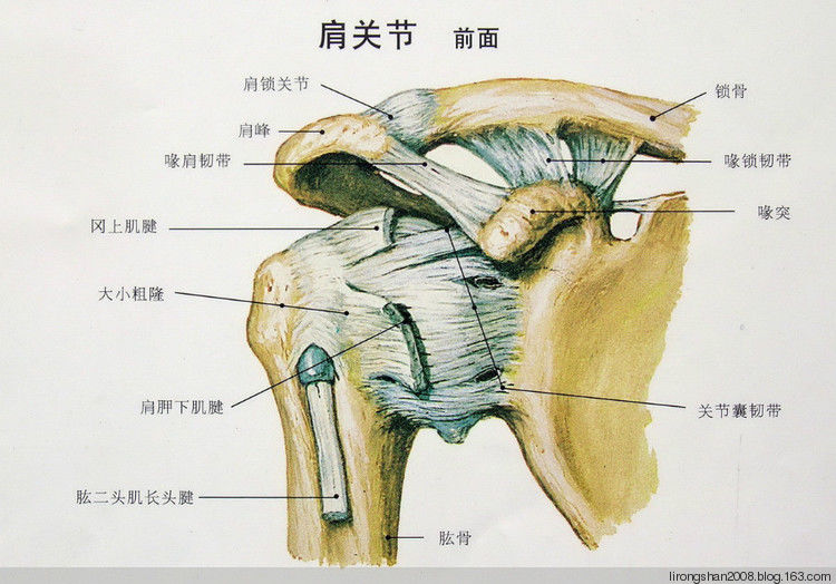 肩周炎的治疗方法—— - 一统江山 - 一统江山的博客