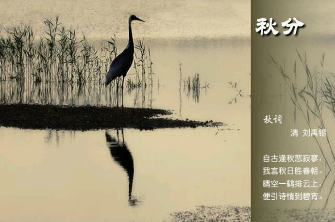 2015年01月23日 - xinlin198 - *平民博客*