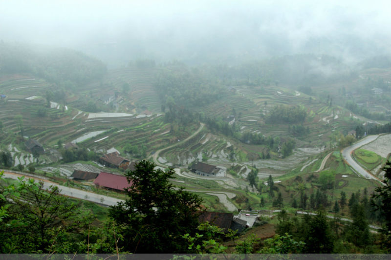 紫鹊界——冷风凄雨中的梯田 - 酉水人 - 酉水人
