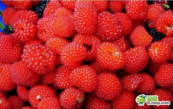 那些只属于出生在农村的80后记忆1339754972082