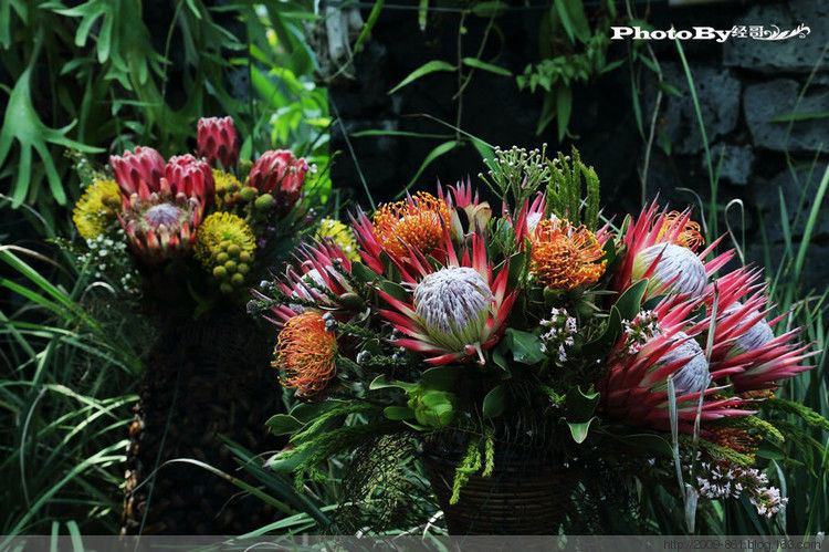 两性人体知识大全！不可不知... - 宝贝梦 - 分享美丽.分享快乐.品味人生