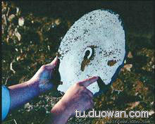 盘点中国神秘事件 至今为止仍然是未解之谜 (16)