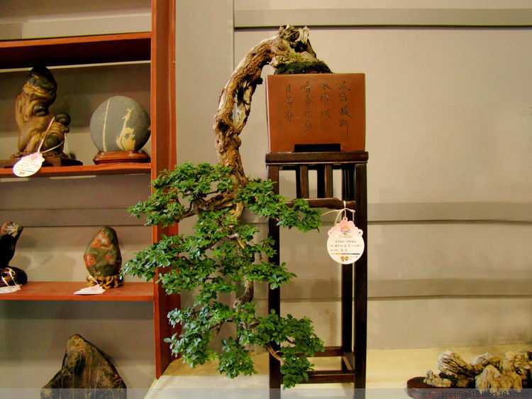 中国仅存的六个古县城 - 万代兰晓 - 万代兰晓