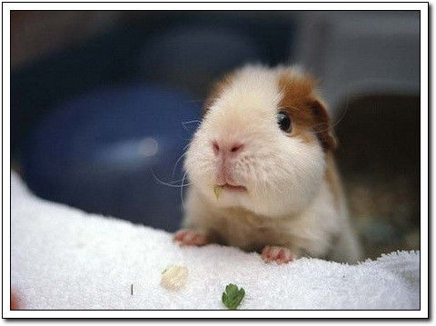 周末要轻松！【幽默图片50P】 - 無為居士 - 聚美齋