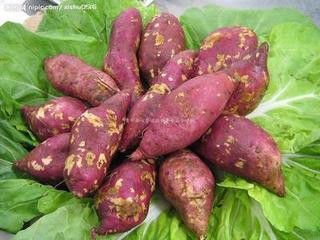 十种蔬果坚决不能吃的部位！！ - 吴锡安（亚亚） - 吴锡安的博客（亚亚）