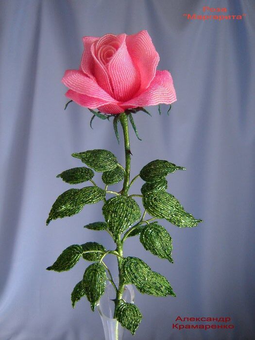 DSC00073_2 (525x700, 69Kb)