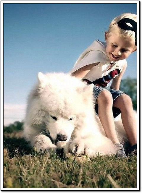 周末要轻松！【幽默图片50P】 - 無為居士 - 聚美齋