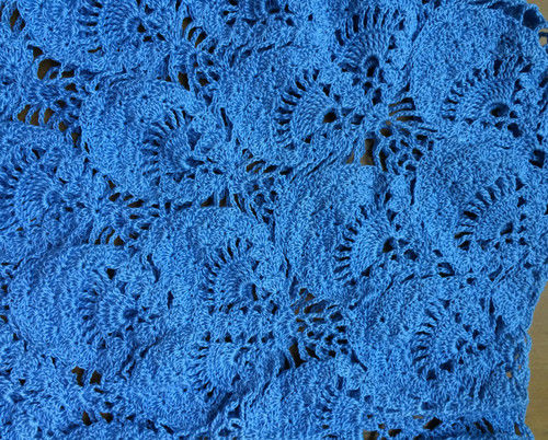 短款雀羽 （2015） - 瑜伽猫 - 瑜伽猫的博客