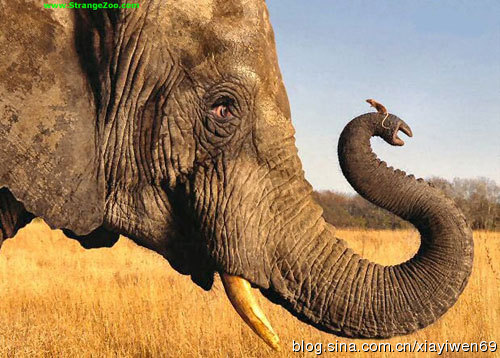 你应该和有这些特点的人绝交