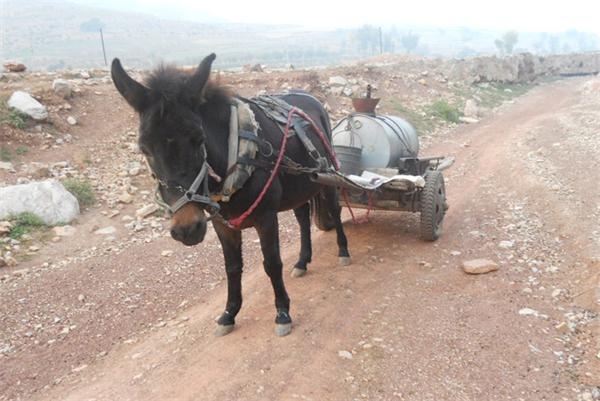 有图有震撼，中国的贫富差距到底有多大