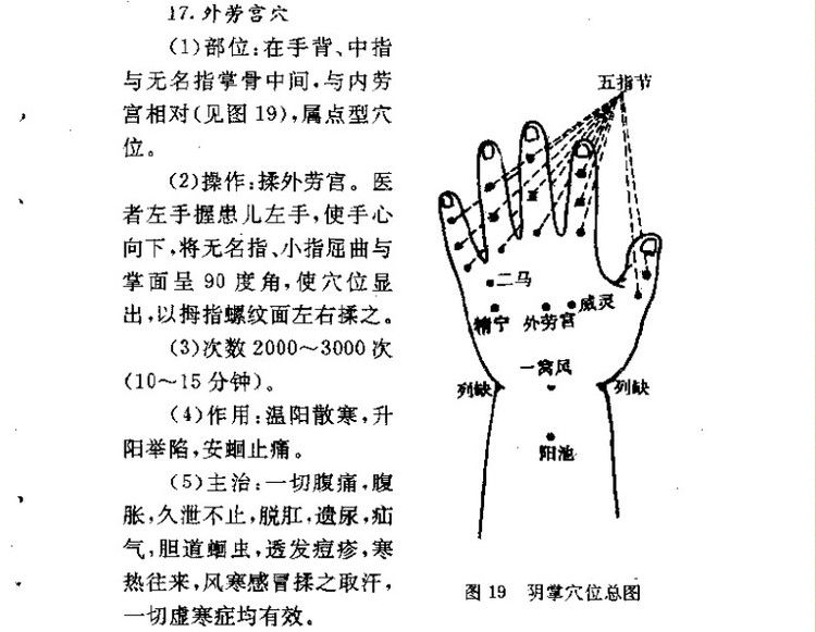 杨凡原创作品：小儿推拿不传之秘之穴位篇 - 杨凡 - 我的健康我做主