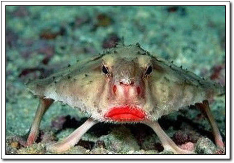 周末要轻松！【幽默图片50P】 - 無為居士 - 聚美齋