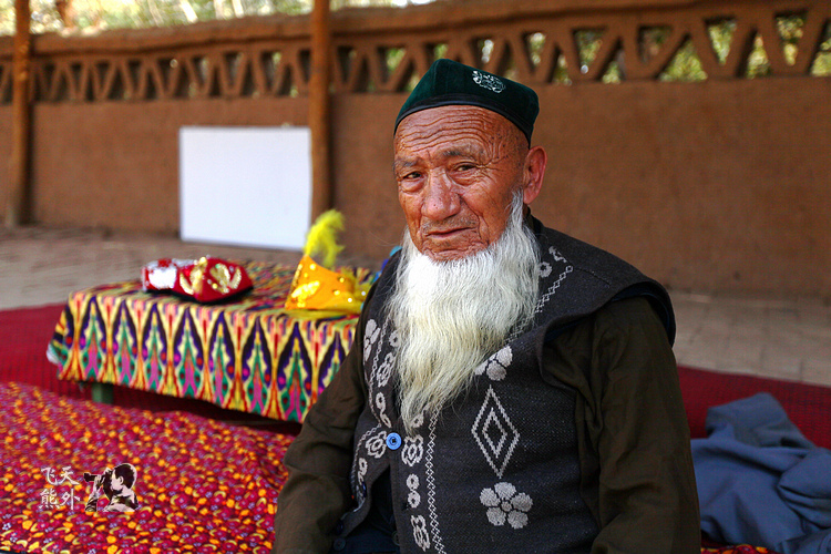 【新疆】交河故城：世界上最完美的废墟 - 天外飞熊 - 天外飞熊