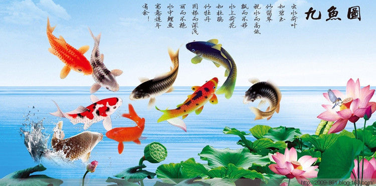 吉祥富贵“九鱼图“99幅，太漂亮了 - 宝贝梦 - 分享美丽·分享快乐·品味人生