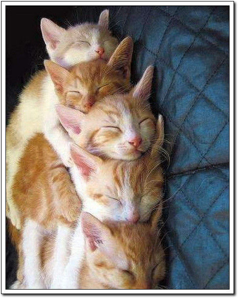 周末要轻松！【幽默图片50P】 - 無為居士 - 聚美齋