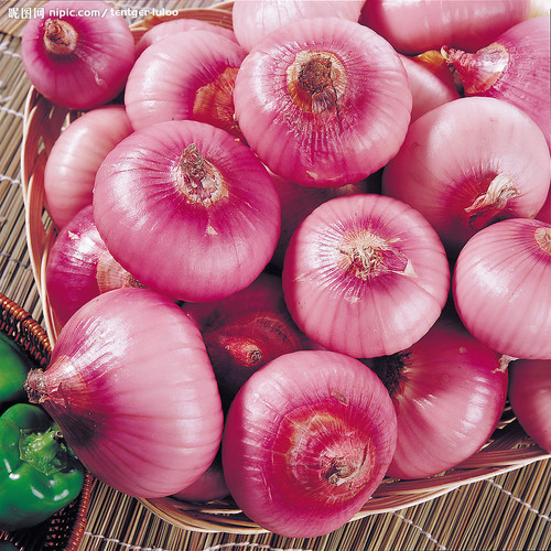 洋葱 - 补骨髓比钙快十倍不止，补骨第一名 - 粉画家吴锡安（亚亚） - 粉画家吴锡安(亚亚)