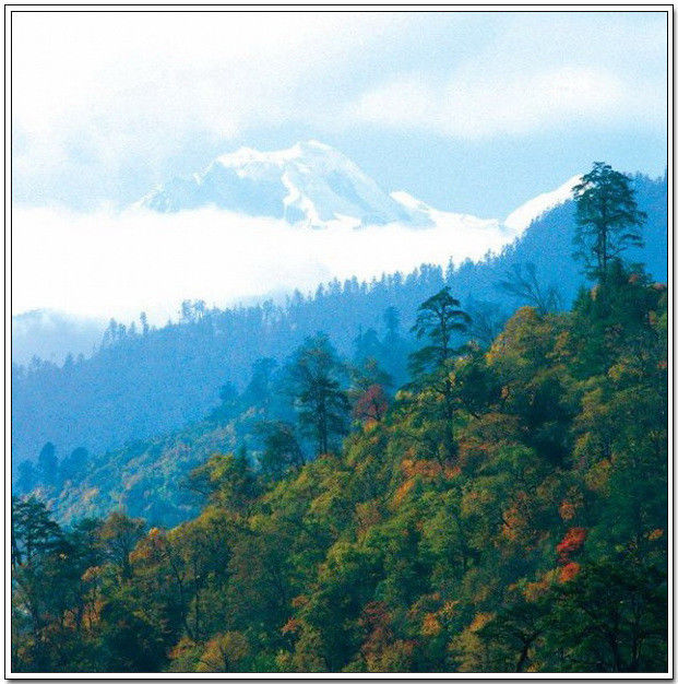 中国名山，景色怡人！ - 以博会友 - 以博会友