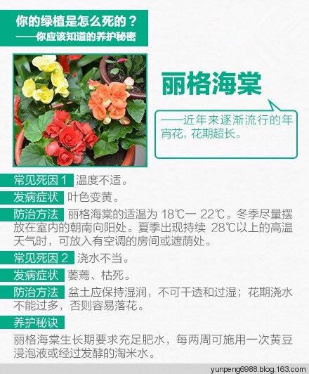 9张图告诉你，为什么你总把花养死【图文】 - 云鹏润峰 - 云鹏潤峰