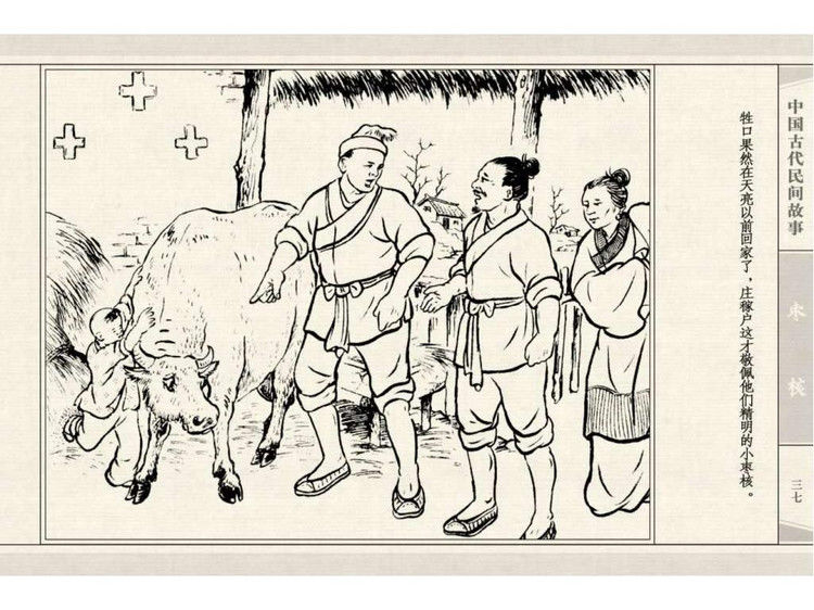 枣核 - shunlin01 - 美术资料与连环画